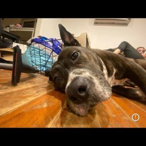 Meet your Posher, Wendy